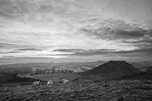 Moody Sky Prints: Thorpe Cloud from Thorpe Pasture, Peak District National Park, Derbyshire, England