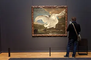 Threatened Prints: The threatened swan by Jan Asselijn