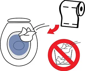 Throw Prints: Throw used toilet paper in the toilet bowl do not throw it into the litter bin