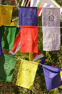 Refugee Camp Prints: Tibetan prayer flags outside the Golden Buddha monastery at Kushalnagar