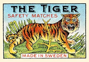 Tiger Prints: The Tiger Safety Matches