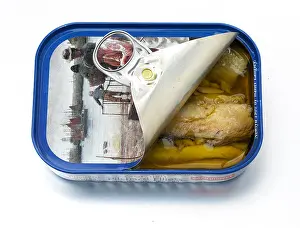 Broth Prints: tin Pilchards open oil fish