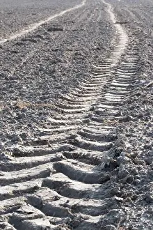 Ability Prints: Tire track from a tractor on the freshly plowed field