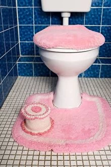 Images Dated 23rd November 2023: A toilet with fluffy pink seat cover and rug