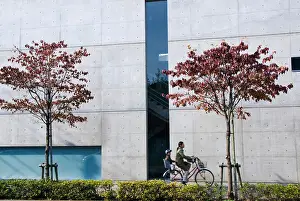 Japanese Architecture Prints: Tokyo Art Museum in Sengawa Tokyo designed by Tadao Ando, Tokyo, Japan