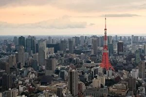 Images Dated 3rd April 2017: Tokyo city view with Tokyo Tower at evening in Japan. Skyscrapers in downton city
