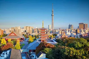 Tokyo. Cityscape image of Tokyo skyline during autumn sunset in Japan