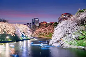 Tokyo, Japan at Chidorigafuchi Imperial Palace Moat in the evening