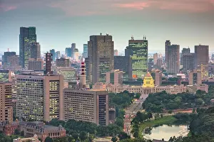 Tokyo, Japan cityscape over Chiyoda Ward with the National Diet Building at twilight