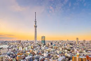 Tokyo, Japan cityscape and tower at dusk