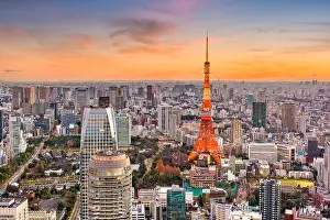 Tokyo, Japan cityscape and tower at dusk