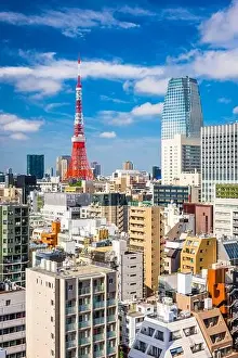 Ward Prints: Tokyo, Japan cityscape and tower from the Toranomon business district