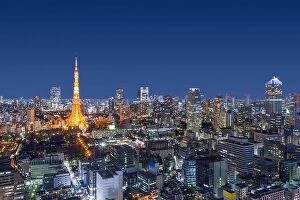 Cityscape Collection: Tokyo, Japan modern urban skyline at night overlooking the tower