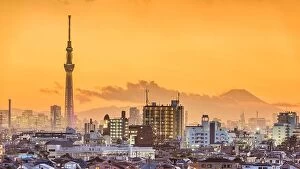 Images Dated 12th January 2017: Tokyo, Japan neighborhoods and cityscape at dusk with the tower and Mt. Fuji in the distance