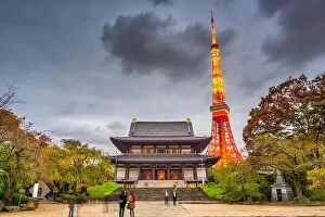 November Collection: Tokyo, Japan tower and temple at dusk