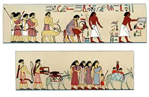 Present Prints: From the Tomb of Ancient Egyptiany official Khnumhotep II at Beni Hasan