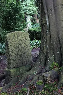 Grief Prints: Tombstone devoured and overgrown by a tree on the old cemetary in Greifswald