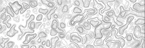 Latitude Prints: Topographic contour map on white background. Vector grid map