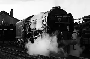 Steam Locomotive Prints: Tornado on shed