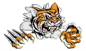 Decal Prints: A tough tiger animal sports mascot breaking through a wall