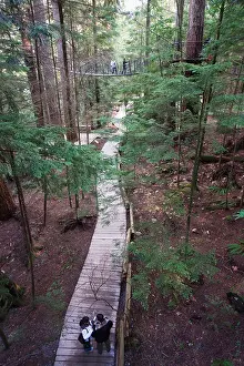 Medium Group Of People Prints: Tourists in Capilano Suspension Bridge and Park