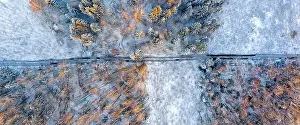 Lumberjack Prints: Track in wet ground left by logging tractor in winter forest from above