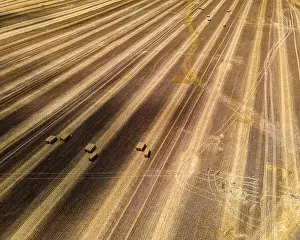 Haystack Prints: Tractors just cleared the thick grown wheat grass to turn the harvest into bales on a wisconsin farm