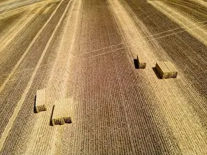 Haystack Prints: Tractors just cleared the thick grown wheat grass to turn the harvest into bales on a wisconsin farm