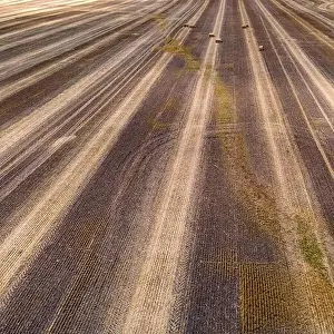 Haystack Prints: Tractors just cleared the thick grown wheat grass to turn the harvest into bales on a wisconsin farm