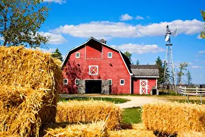 Traditional American Farm yard