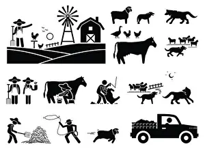 Sheepdog Prints: Traditional farmer lifestyle at barn