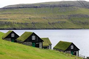 Faroe Islands Prints: Traditional houses in a scenic landscape, Faroe islands