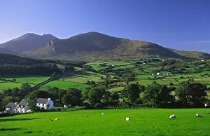Mournes Prints: Traditional Irish farmhouse and green fields beneath the Mourne Mountains