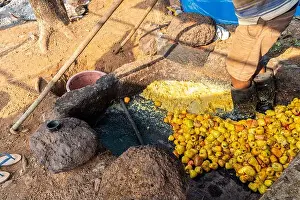 Extract Prints: Traditional method of cashew apples being mashed with legs to extract cashew juice which is further distilled to form