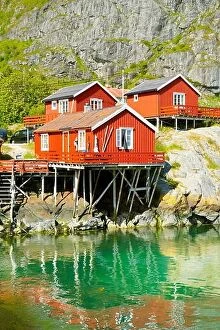 Images Dated 4th July 2014: Traditional red wooden rorbu huts on Moskenesoya Island, Lofoten Islands, Norway