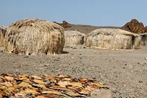 Tanzania Prints: Traditional round house of people from the El Molo tribe on the shore of the lake Turkana in Kenya