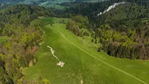 Tatra Prints: Traditional sheep pasture on meadow in Pieniny Mountains in Poland. Aerial drone view