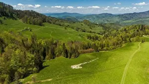 Tatra Prints: Traditional sheep pasture on meadow in Pieniny Mountains in Poland. Aerial drone view