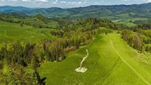 Tatra Prints: Traditional sheep pasture on meadow in Pieniny Mountains in Poland. Aerial drone view