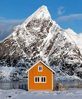 Stillness Prints: A traditional yellow Rorbu cabin with Mount Olstinden peak set as a dramatic background in the village of Sakrisoya