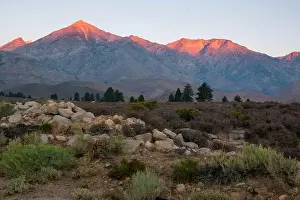 Grouse Prints: The trail to Kearsarge Pass is a difficult one