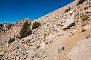 Grouse Prints: The trail to Kearsarge Pass is a difficult one