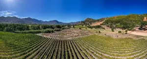 Agricultural Land Prints: Trails through flowers and wildlife at Mont Rochelle Nature Reserve with views over Franschhoek Valley and Franschhoek