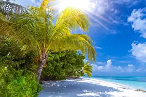 Tranquil beach scene. Exotic tropical beach resort, landscape for background or wallpaper. Design of summer vacation holiday concept Maldives island