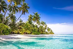Tranquil beach scene. Sunny exotic tropical beach landscape. Summer vacation holiday concept. Luxury travel destination, idyllic nature, palms, sea