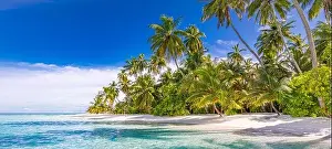 Tranquil beach scene. Sunny exotic tropical beach landscape. Summer vacation holiday concept. Luxury travel destination, idyllic nature, palms, sea