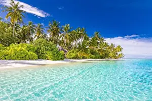 Tranquil beach scene. Sunny exotic tropical beach landscape. Summer vacation holiday concept. Luxury travel destination, idyllic nature, palms, sea