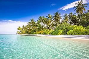 Tranquil beach scene. Sunny exotic tropical beach landscape. Summer vacation holiday concept. Luxury travel destination, idyllic nature, palms, sea