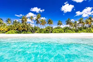 Tahiti Prints: Tranquil beach scene. Sunny exotic tropical beach landscape for background or wallpaper