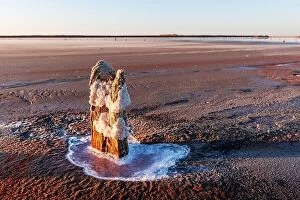 Images Dated 13th September 2020: Tranquil landscape with dry surface of the pink salt lake with wooden post and salt crystals